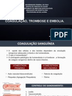 Slide Coagulação