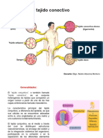 Información para Segundo Examen de Histología