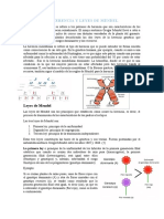 ChongW - CLASE - ASINCRONICA - LA HERENCIA Y LEYES DE MENDEL