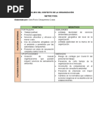 Matriz Foda - Sara