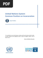 UN System Common Position On Incarceration