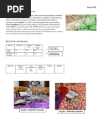 Avance 1 Cuadernos Lab