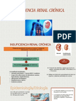 Insuficiencia Renal Cronica