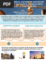 Infografia y Video Cartilla SST