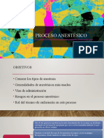 Proceso Anestesico