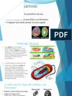 OCTAVO Clase Miercoles