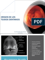 Copia de Segunda Clase - Odontopediatría