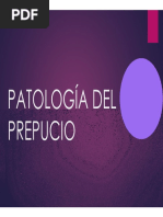 Patologia Prepucio Del Dr. Rassi