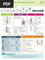 Knowledge Organiser: Plant and Animal Organs Respiratory System Skeleton