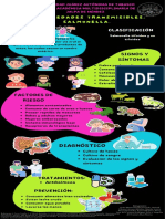 Infografia (Salmonella)