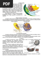 Resumo Citologia