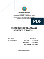 Flujo de Fluidos en Medios Porosos