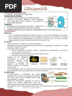 S6 - Citoesqueleto