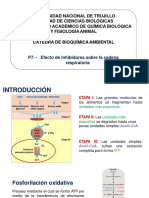 P7. Efecto de Los Inhibidores en La Cadena respiratoria-PROTOCOLO