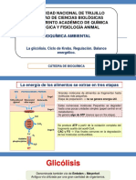 S6. Glucólisis y Ciclo de Krebs