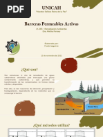 Barreras Activas Permeables