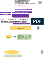 Practica de La Urea