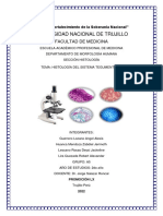 Informe. Piel y Anexos. Subgrupo 1. Grupo A5