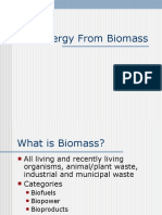 Energy From Biomass