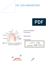 Class Xi - Digestion and Absorption