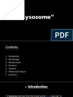 Lysosome