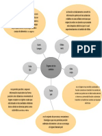 Diagrama Radial Organos de Los Sentidos