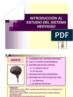 Tema 1. Introducción Al Estudio Del Sistema Nervioso