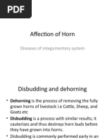 Affection of Horn: Diseases of Integumentary System