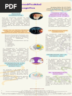 Teoría de La Modificalidad Estructural Cognitiva