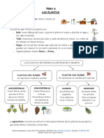 Unidad Didactica-Las Plantas