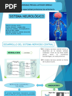 Sistema Neurologico NEONATAL