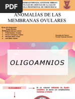 Grupo 04 - Anomalías de Las Membranas Ovulares