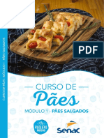 Ebook Curso de Paes Modulo 1