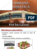 Membrana Plasmatica