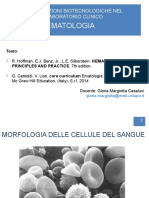 Lezione 1.1 Morfologia Della Cellula Del Sangue