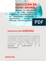 Reproducción en Animales