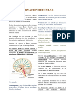 Formación Reticular