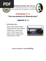 Informe Del Reconocimiento de Biomoleculas Del Grupo 2 A01 (91G)