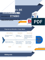 Diagrama de Ishikawa Bimbo