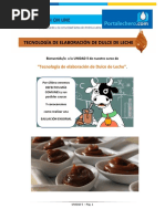 Tec Elaboracion de Dulce de Leche UNIDAD 5