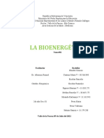 Seminario 1 - BIONERGETICA