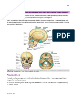 Resumen Anatomía - Cráneo