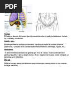 INFORME