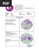 Citologia Oido Rita