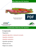 Anatomia Interna de Insetos