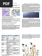 Ficha 01-22 - Moneras