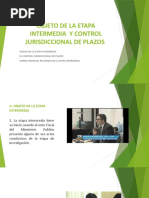 Objeto de La Etapa Intermedia y Control Jurisdiccional