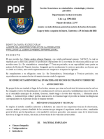 Dictamen de Hechos de Transito para Audiencia