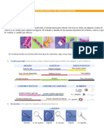 Técnicas Básicas para La Elaboración Figuras Con Cuentas Plásticas