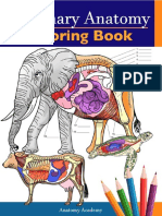 Veterinary Anatomy Coloring Book